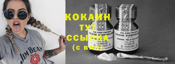 крисы Аркадак