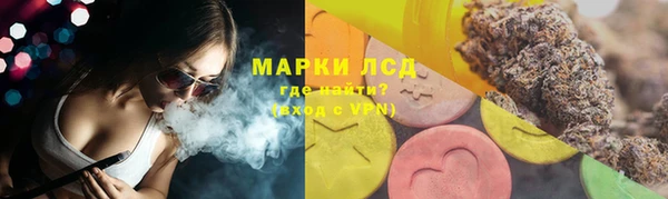 крисы Аркадак