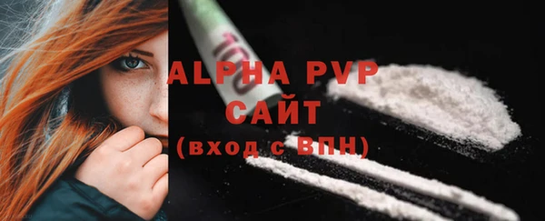 твердый Арсеньев