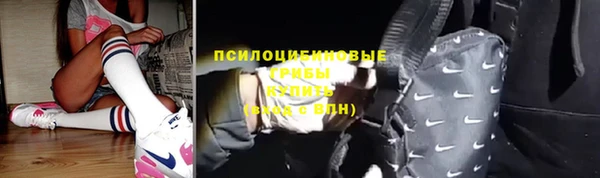 твердый Арсеньев