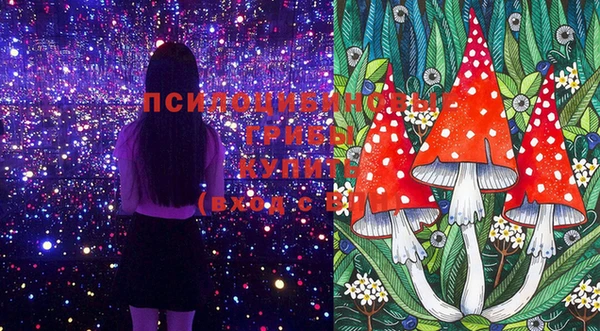 крисы Аркадак