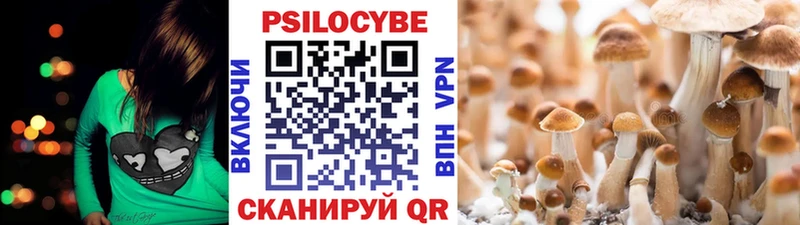 магазин продажи   Саяногорск  Галлюциногенные грибы GOLDEN TEACHER 